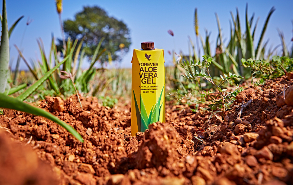 Forever Aloe Vera Gel indeholder hele 99,7 % af vores egen førsteklasses Aloe vera og C-vitamin.